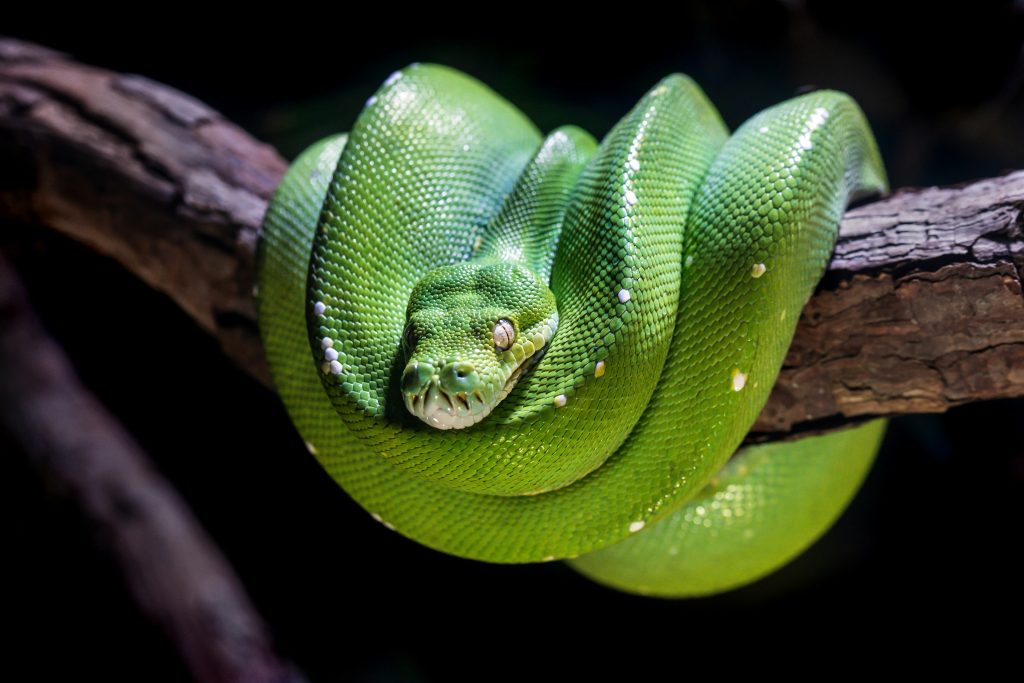3 Great Books for Learning Python - Beginner to Proficiency
