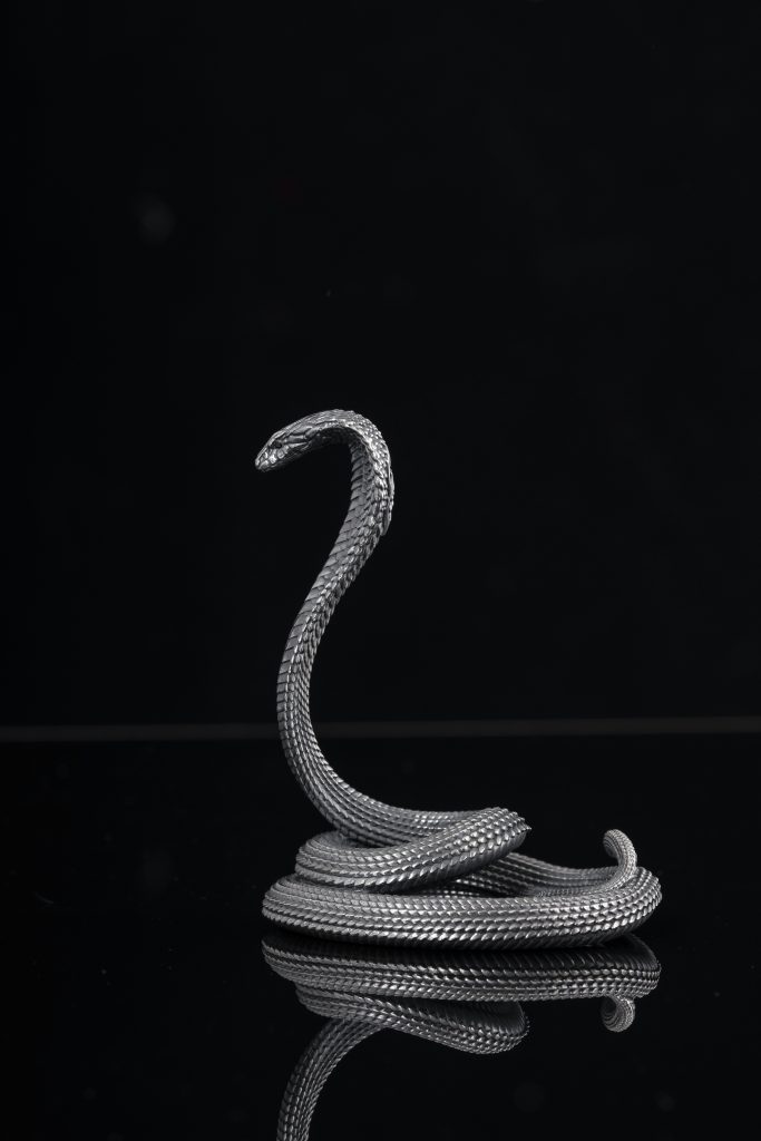 Exploring Project Ideas: What Are the Best Python Programming Projects for Beginners?