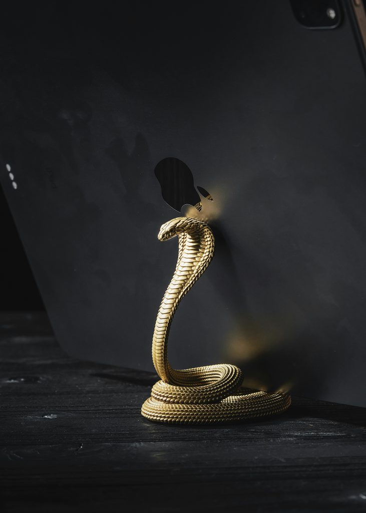 Exploring Project Ideas: What Are the Best Python Programming Projects for Beginners?