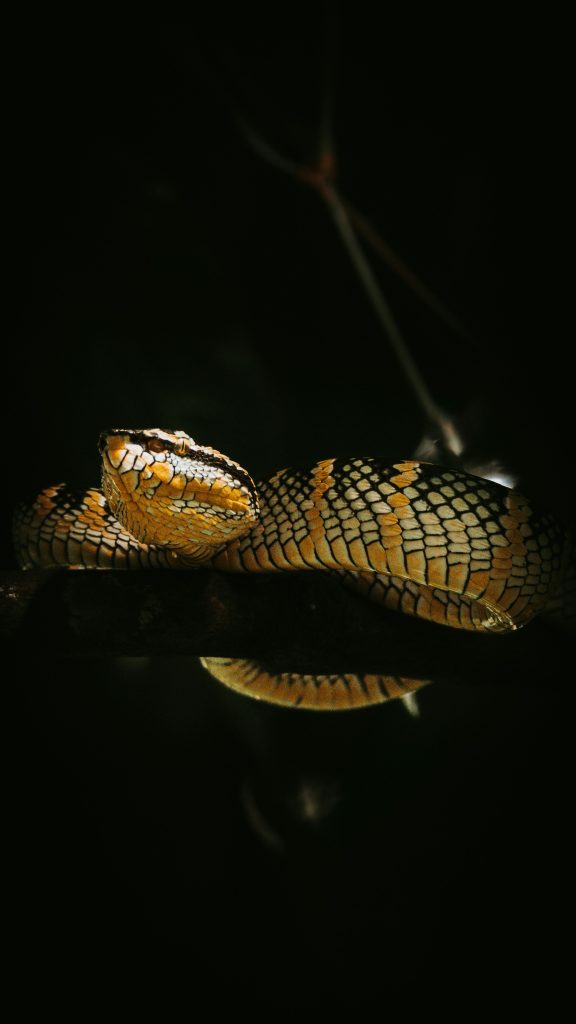 Python in Excel - Beginner Tutorial