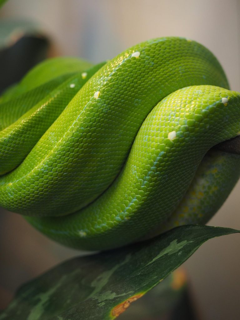 Starting a Project in Python Programming