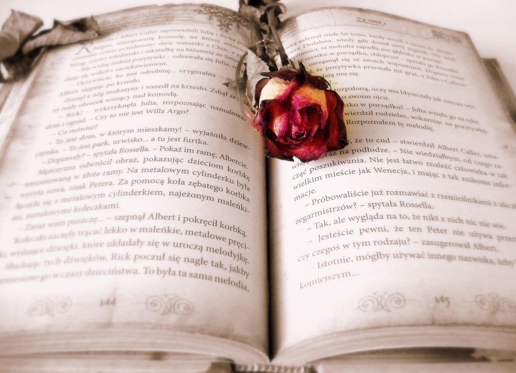 Exploring the Best Books for Python Programming