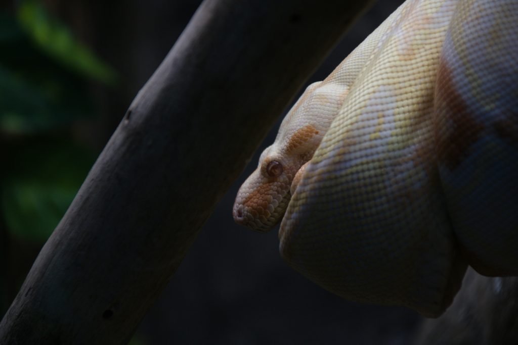 How Do You Use the Python Programming Terminal Effectively? How Do You Use the Python Programming Terminal Effectively?