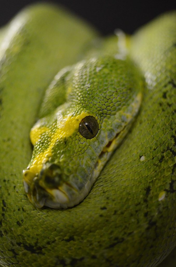 Python Basics: Your First Program in Under a Minute! Python Basics: Your First Program in Under a Minute!