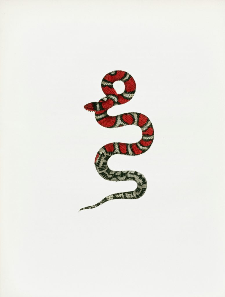 Which Python Programming Books Are Considered Good?