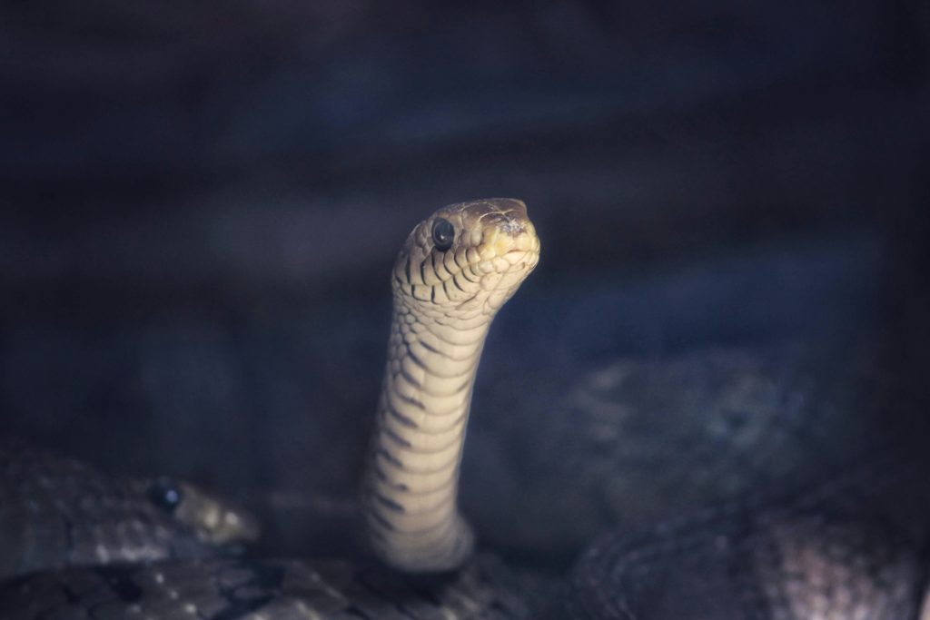 What Are the Best Practices for Python Programming? What Are the Best Practices for Python Programming?