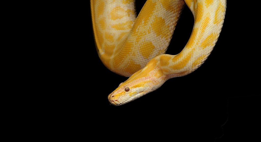 How to Run Python in Visual Studio Code on Windows 10 [2022] | Run Sample Python Program