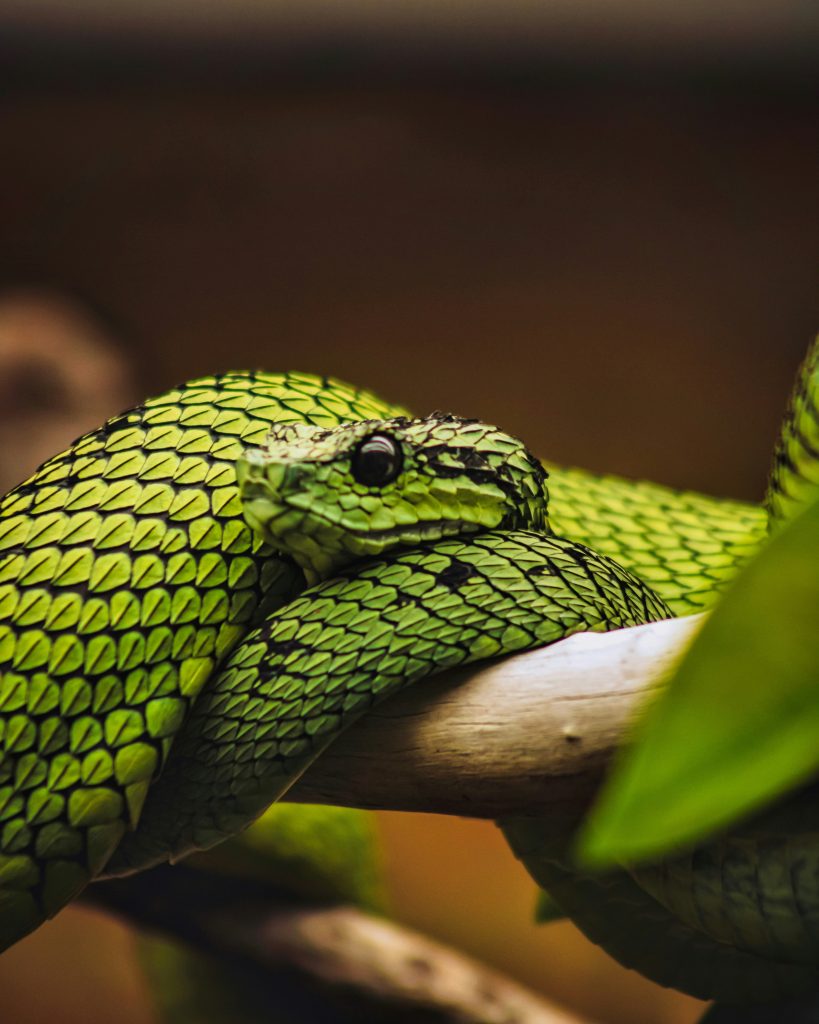 Good Python Programming Practices You Should Follow
