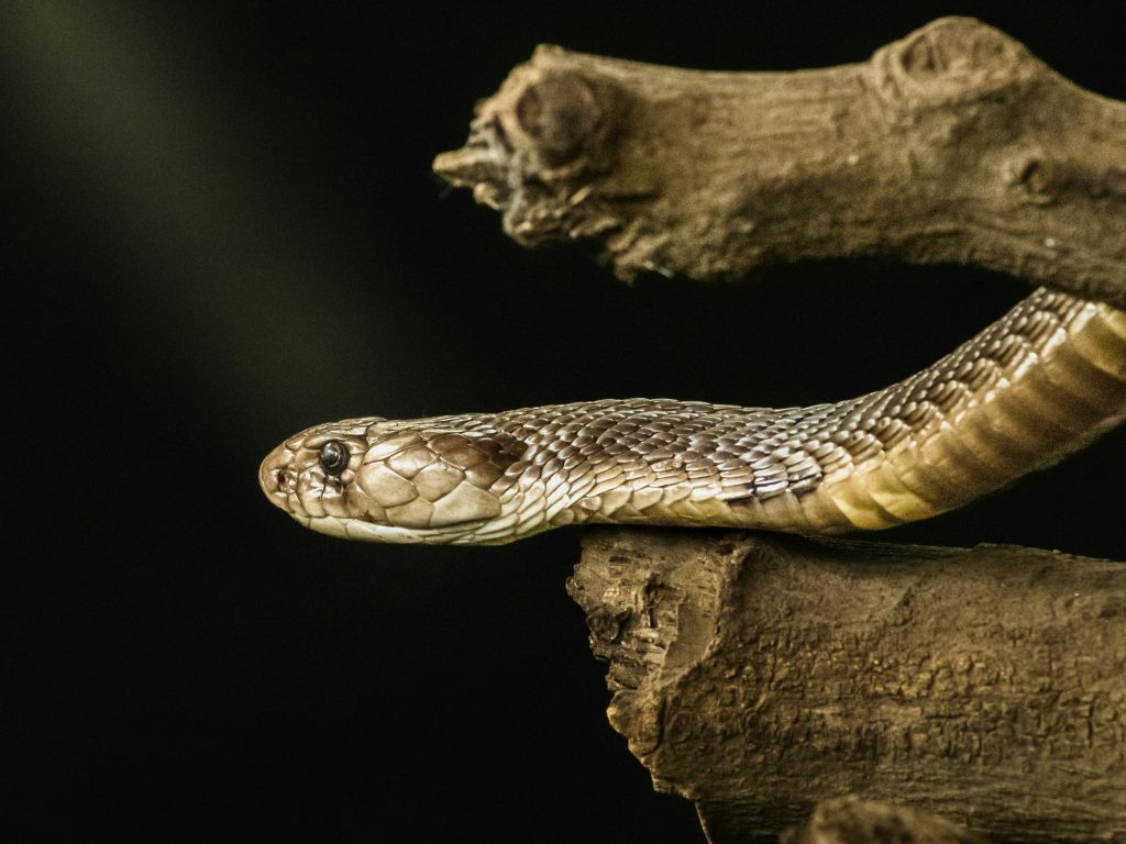 Good Python Programming Practices You Should Follow