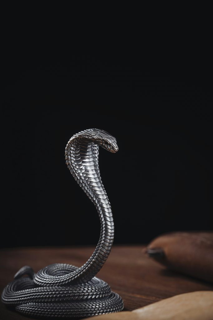 How Python Programming is Revolutionizing Robotics