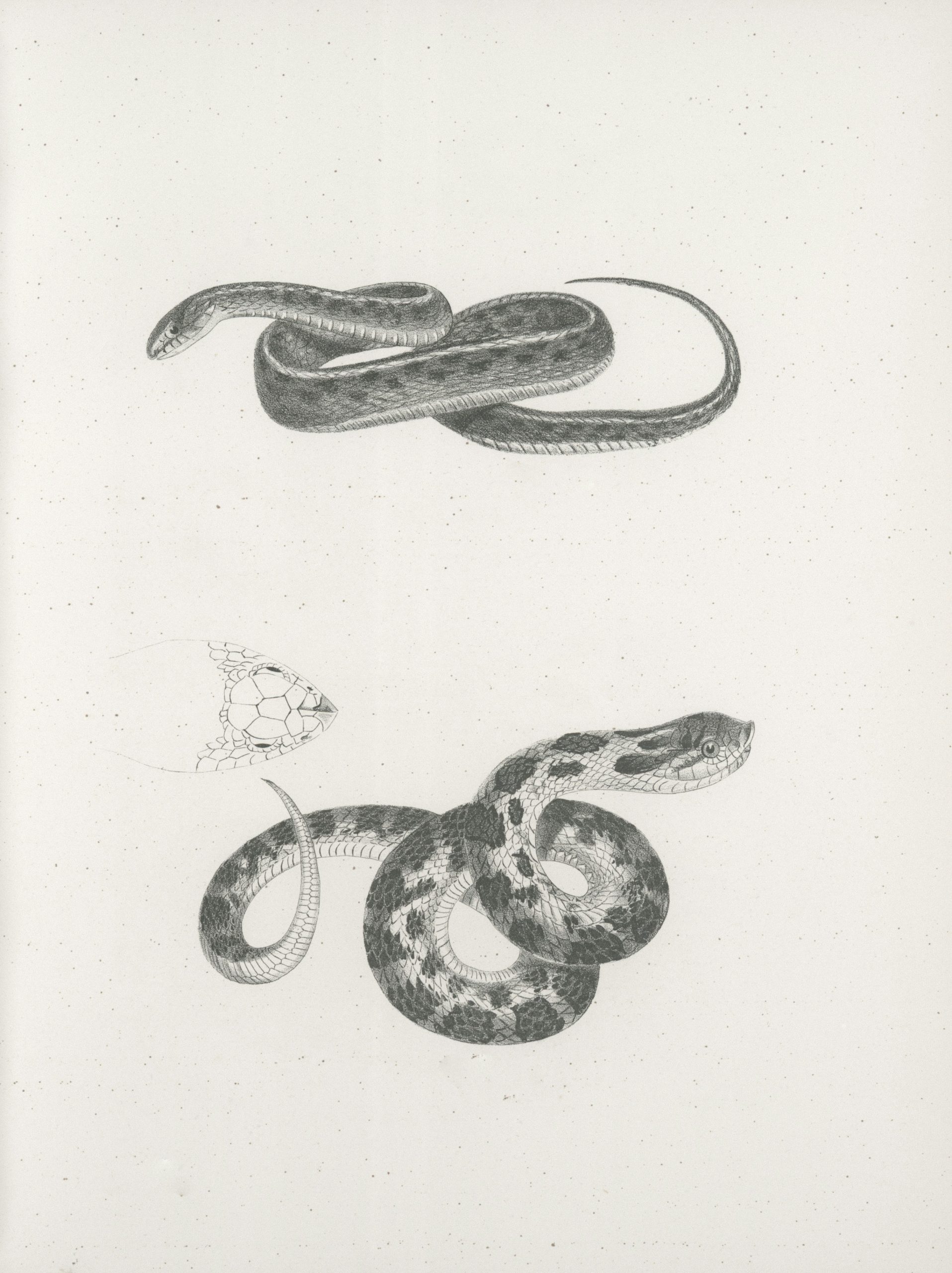 Python Programming For Kids Review