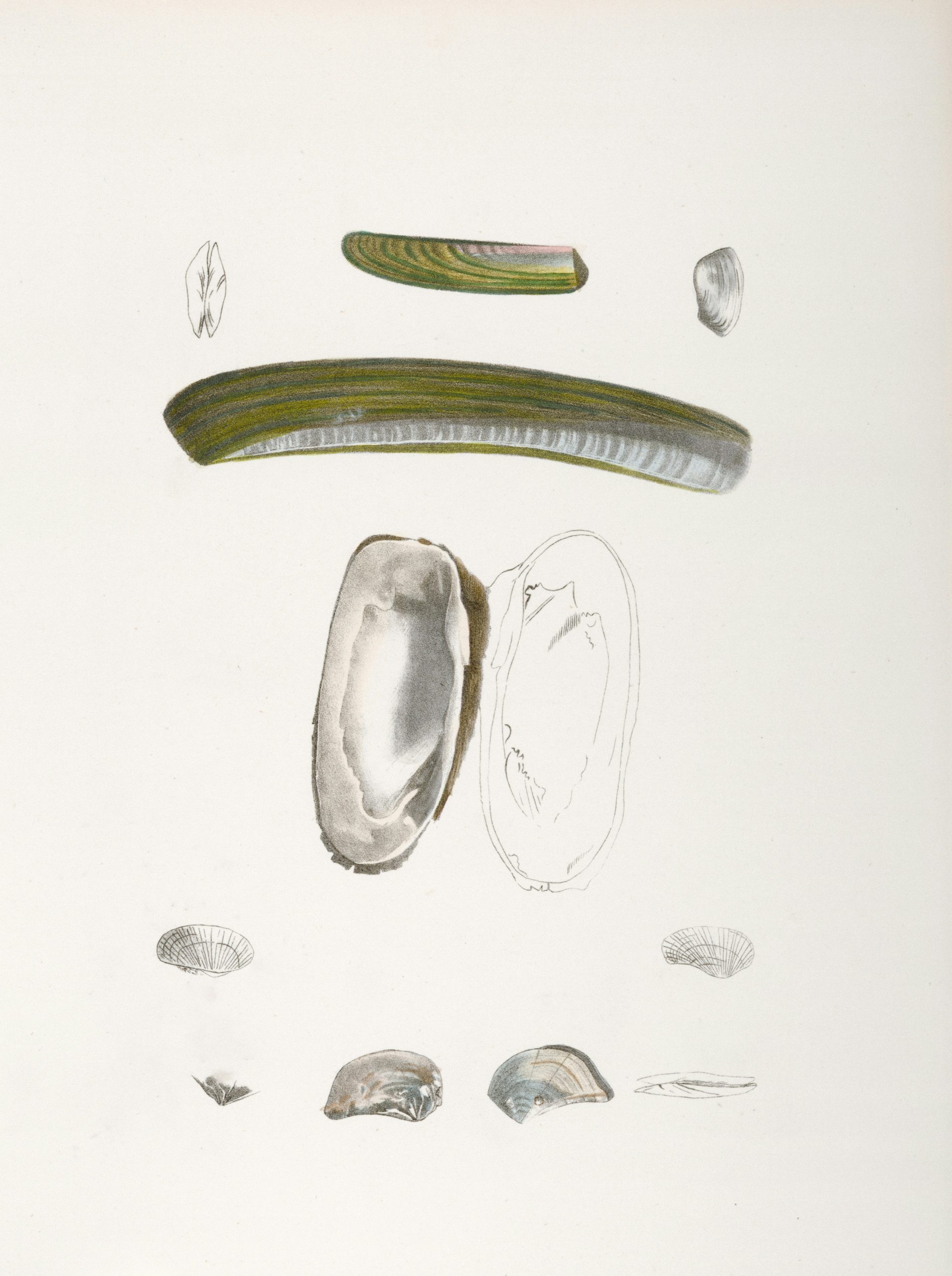 Understanding What Is a Programming Quiz in Python