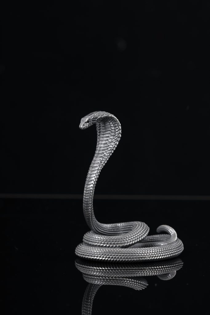 Where Can I Find a Python Programming Book PDF Online?