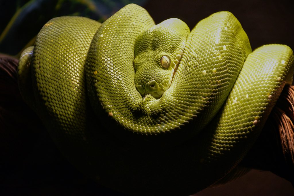 Exploring What Are Python Programming Salaries Like? Exploring What Are Python Programming Salaries Like?