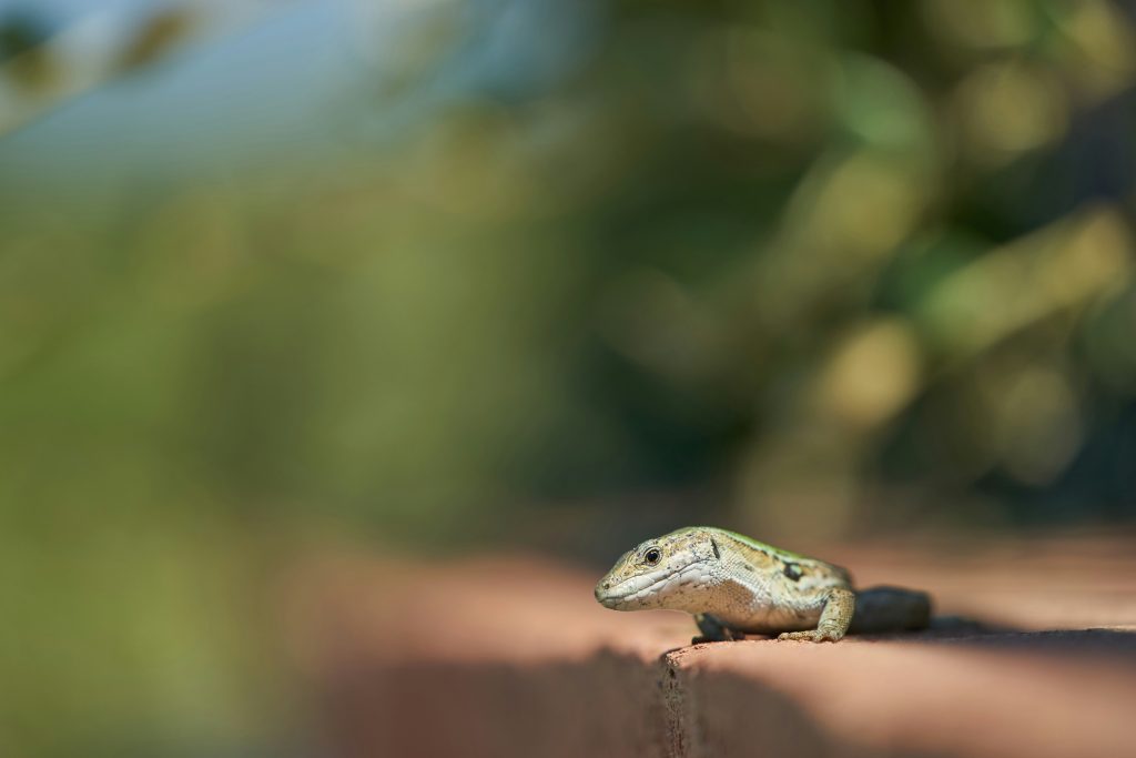 Exploring What Are Python Programming Salaries Like? Exploring What Are Python Programming Salaries Like?