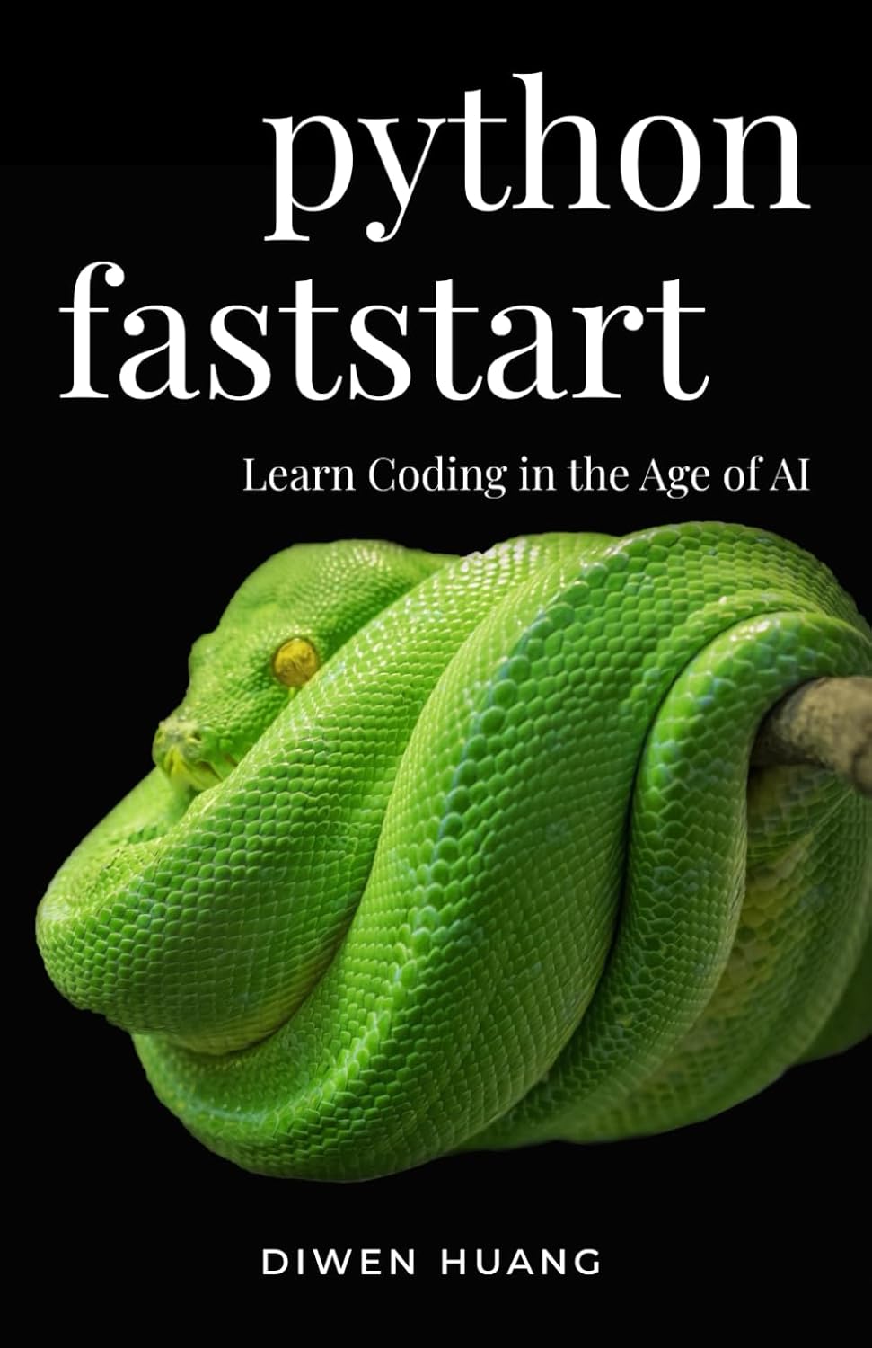 Python Faststart review