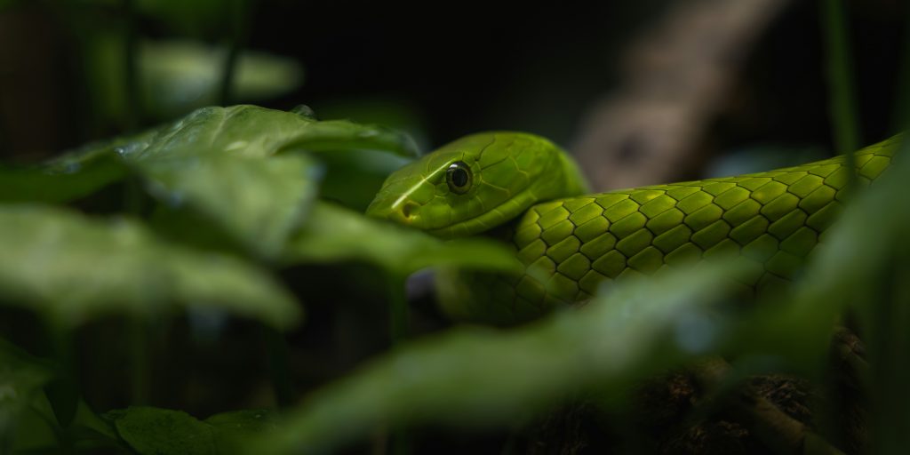 Machine Learning with Python for Beginners: From Zero to Building Real AI Systems: Learn the Core Algorithms and Create Predictive Models