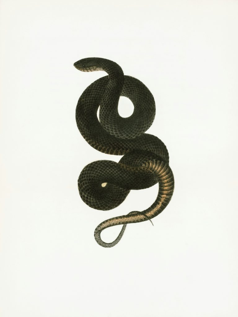 What Are the Best Books for Python Programming Beginners?