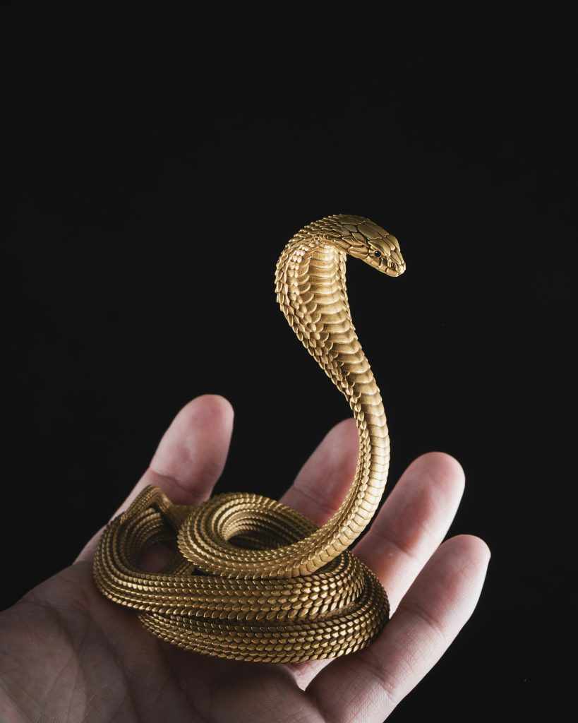 Essential Python Projects for Beginners: Build Skills and Confidence