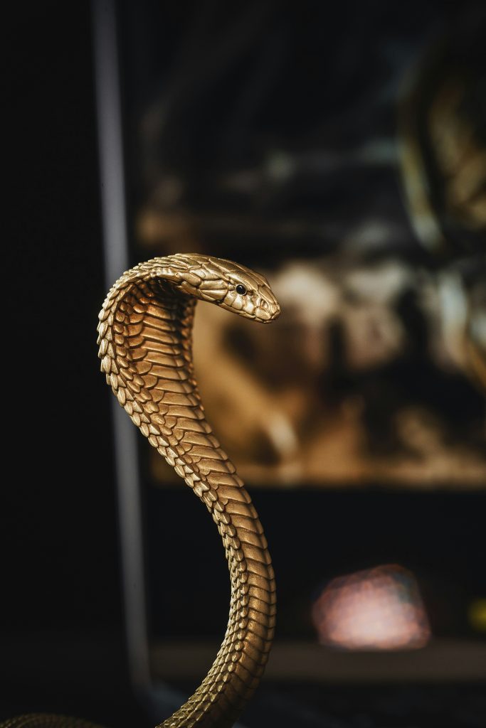 Mastering Python: The Ultimate Beginners Guide for 2026
