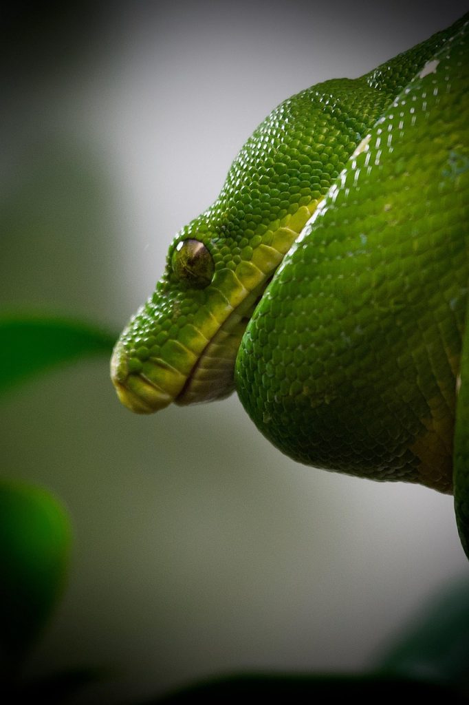 Python Programming Bible: [3 in 1] The Complete Crash Course to Learn and Explore Python beyond the Basics. Including Examples and Practical Exercises to Master Python from Beginners to Pro