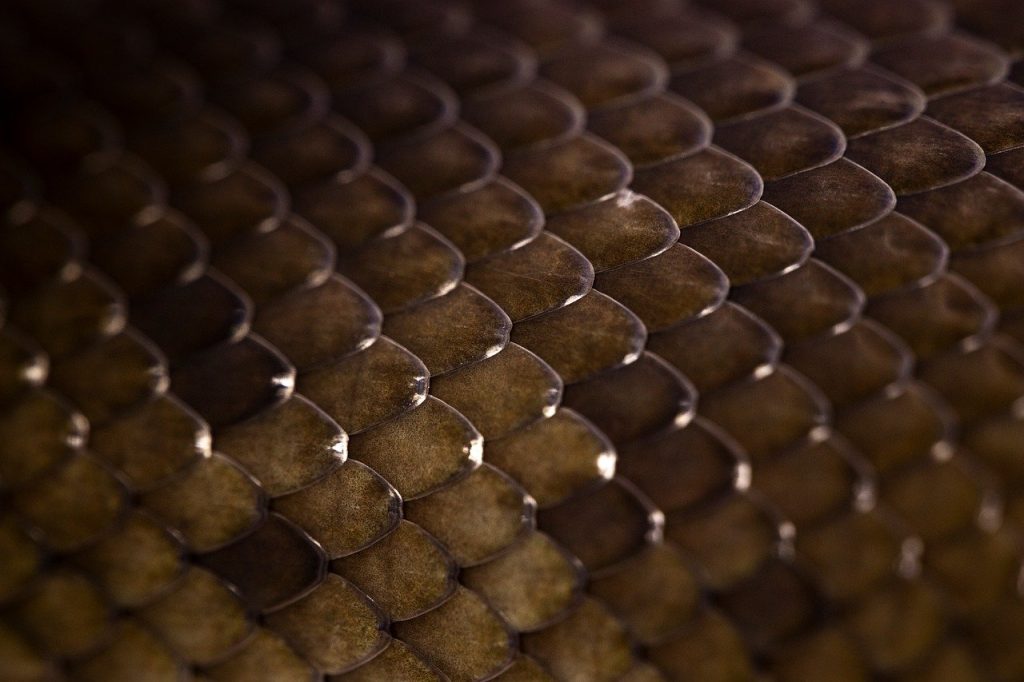 BEGINNERS PYTHON PROGRAMMING FOR GAME DEVELOPMENT Kindle Edition Review