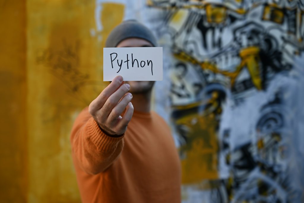 Beginners Guide to Python Programming: What to Expect